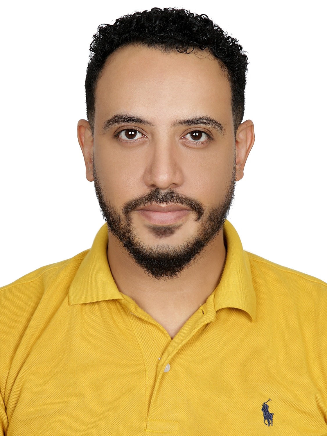 Mohammed Abdulwali Moghalles Al-Hammadi